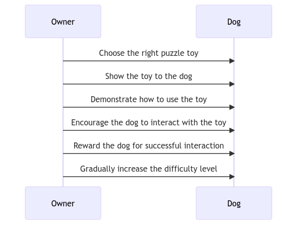 How to Introducing Puzzle Toys to Your Dog?
